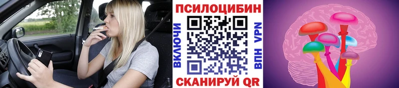 Псилоцибиновые грибы Psilocybe  Купить  Киренск 